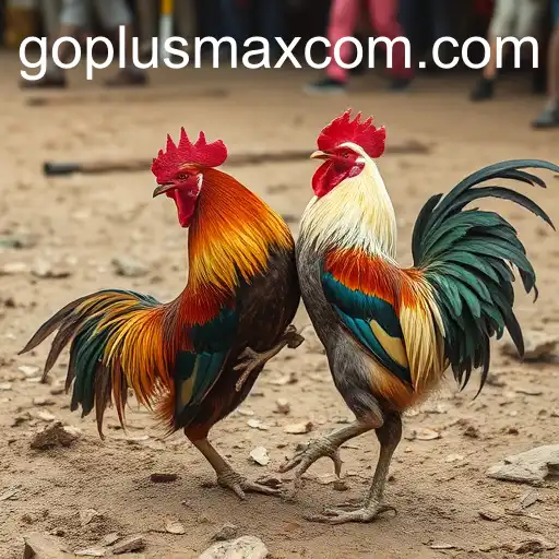 The Complex World of Cockfighting: Tradition, Controversy, and the Rise of Goplusmax